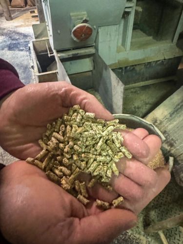 valley-feed-supply-feed-in-hand